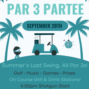 Par 3 Partee